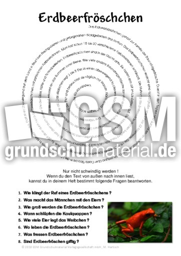 Erdbeerfröschchen.pdf